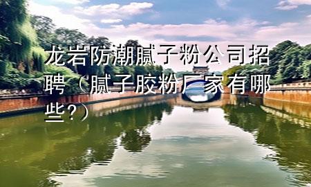 龍巖防潮膩?zhàn)臃酃菊衅福佔(zhàn)幽z粉廠家有哪些?）