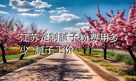 江蘇定制膩子粉費用多少-膩子工價
