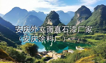 安慶外立面真石漆廠家（安慶涂料廠）