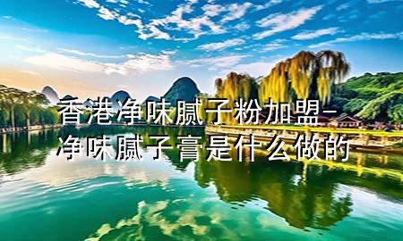 香港凈味膩子粉加盟-凈味膩子膏是什么做的