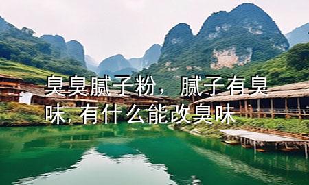 臭臭膩子粉，膩子有臭味,有什么能改臭味