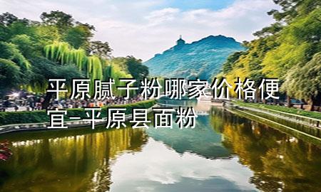 平原膩子粉哪家價格便宜-平原縣面粉