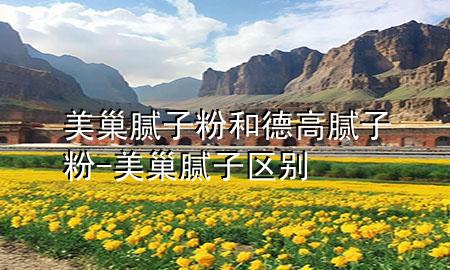 美巢膩子粉和德高膩子粉-美巢膩子區(qū)別