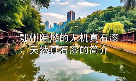 鄂州阻燃的無(wú)機(jī)真石漆，天然真石漆的簡(jiǎn)介