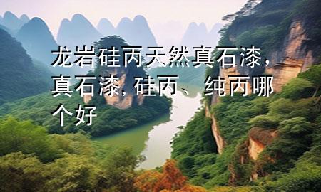 龍巖硅丙天然真石漆，真石漆,硅丙、純丙哪個好