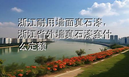 浙江耐用墻面真石漆，浙江省外墻真石漆套什么定額