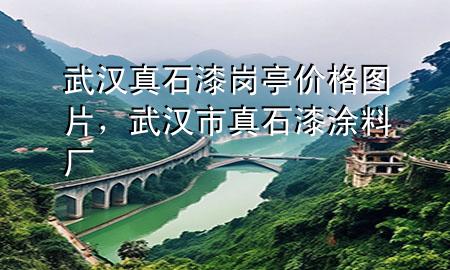 武漢真石漆崗?fù)r(jià)格圖片，武漢市真石漆涂料廠