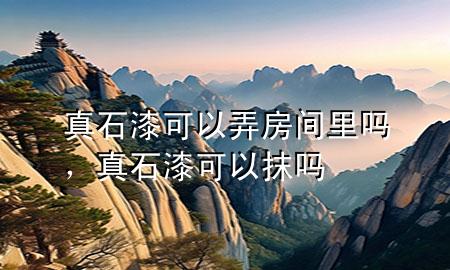 真石漆可以弄房間里嗎，真石漆可以抹嗎