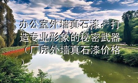 辦公室外墻真石漆：打造專業(yè)形象的秘密武器（廠房外墻真石漆價(jià)格）