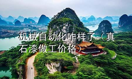 機(jī)械自動(dòng)化咋樣了（真石漆做工價(jià)格）