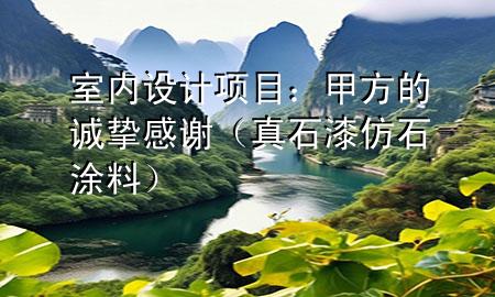室內(nèi)設(shè)計(jì)項(xiàng)目：甲方的誠摯感謝（真石漆 仿石涂料）