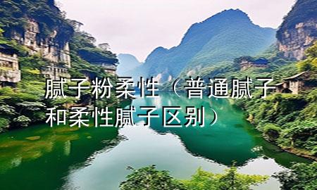 膩子粉柔性（普通膩子和柔性膩子區(qū)別）