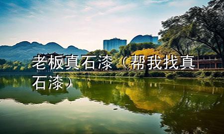 老板真石漆（幫我找真石漆）