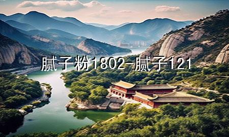 膩子粉1802-膩子121