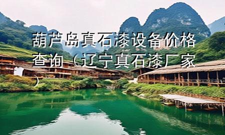 葫蘆島真石漆設(shè)備價(jià)格查詢（遼寧真石漆廠家）