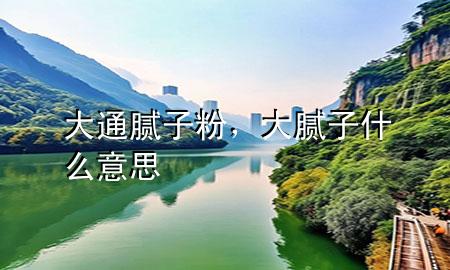 大通膩?zhàn)臃?，大膩?zhàn)邮裁匆馑?>
             </div>
             <!--文章無(wú)圖的情況下插入一張圖片end-->
              
      <p>大家好，今天小編關(guān)注到一個(gè)比較有意思的話題，就是關(guān)于大通膩?zhàn)臃鄣膯栴}，于是小編就整理了1個(gè)相關(guān)介紹大通膩?zhàn)臃鄣慕獯?，讓我們一起看看吧?/p><ol type=