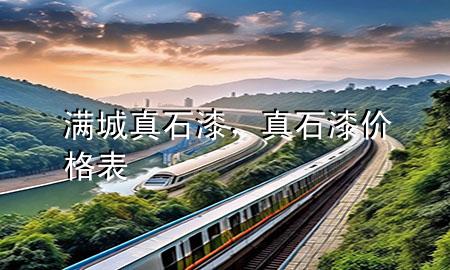 滿城真石漆，真石漆價格表