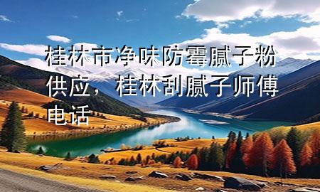 桂林市凈味防霉膩子粉供應，桂林刮膩子師傅電話