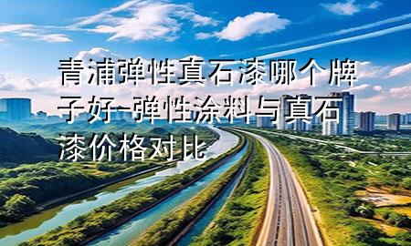 青浦彈性真石漆哪個(gè)牌子好-彈性涂料與真石漆價(jià)格對(duì)比