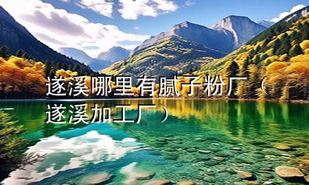 遂溪哪里有膩子粉廠（遂溪加工廠）