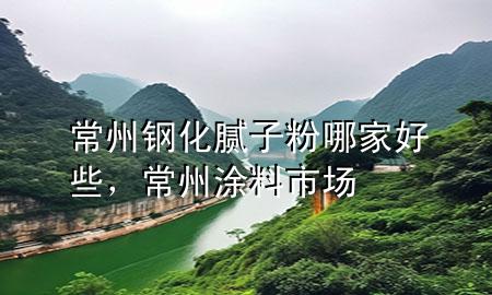 常州鋼化膩子粉哪家好些，常州涂料市場