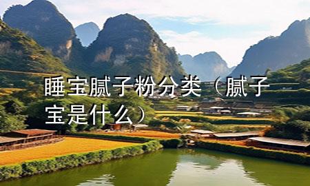 睡寶膩子粉分類（膩子寶是什么）