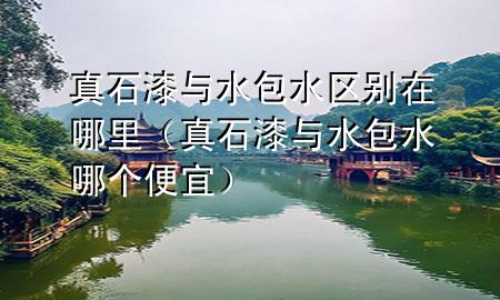 真石漆與水包水區(qū)別在哪里（真石漆與水包水哪個便宜）