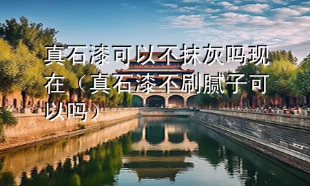 真石漆可以不抹灰嗎現(xiàn)在（真石漆不刷膩子可以嗎）