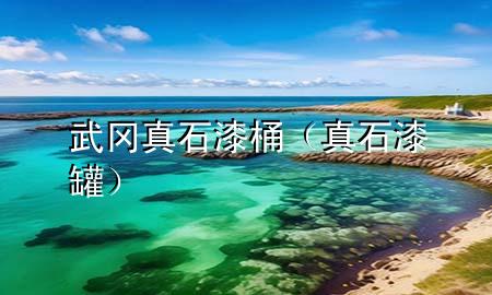 武岡真石漆桶（真石漆罐）