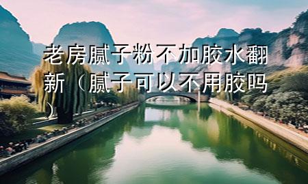 老房膩子粉不加膠水翻新（膩子可以不用膠嗎）