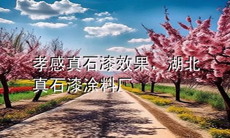 孝感真石漆效果，湖北真石漆涂料廠