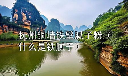 撫州銅墻鐵壁膩子粉（什么是鐵膩子）