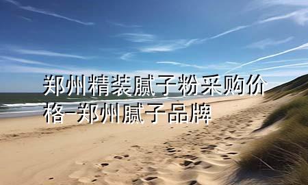鄭州精裝膩子粉采購價格-鄭州膩子品牌