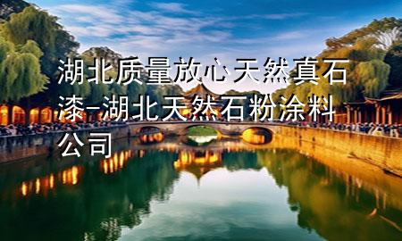湖北質(zhì)量放心天然真石漆-湖北天然石粉涂料公司