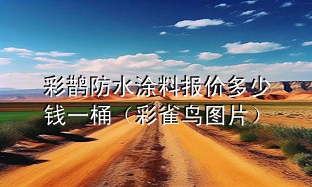 彩鵲防水涂料報(bào)價(jià)多少錢一桶（彩雀鳥圖片）