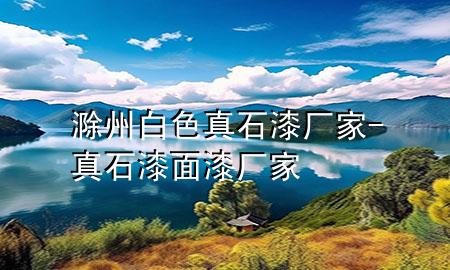 滁州白色真石漆廠家-真石漆面漆廠家