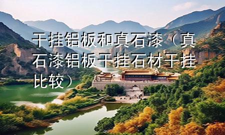 干掛鋁板和真石漆（真石漆 鋁板干掛 石材干掛比較）