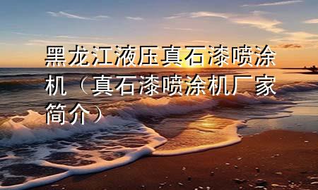 黑龍江液壓真石漆噴涂機(jī)（真石漆噴涂機(jī)廠家簡介）