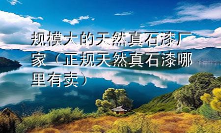 規(guī)模大的天然真石漆廠家（正規(guī)天然真石漆哪里有賣）
