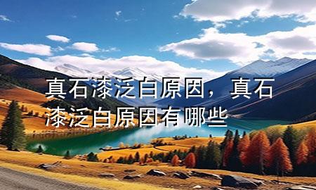 真石漆泛白原因，真石漆泛白原因有哪些