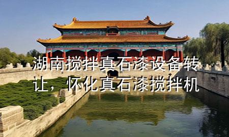 湖南攪拌真石漆設(shè)備轉(zhuǎn)讓，懷化真石漆攪拌機(jī)