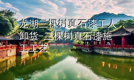 龍湖三棵樹真石漆工人卸貨-三棵樹真石漆施工工藝