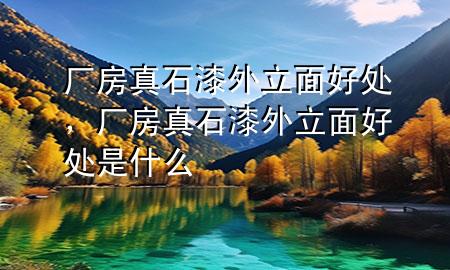 廠房真石漆外立面好處，廠房真石漆外立面好處是什么