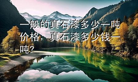 一般的真石漆多少一噸價格，真石漆多少錢一噸?