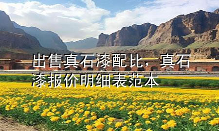 出售真石漆配比，真石漆報價明細(xì)表范本