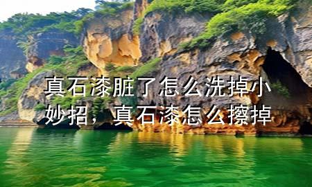 真石漆臟了怎么洗掉小妙招，真石漆怎么擦掉