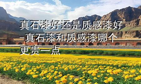 真石漆好還是質感漆好-真石漆和質感漆哪個更貴一點