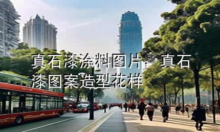 真石漆涂料圖片，真石漆圖案造型花樣