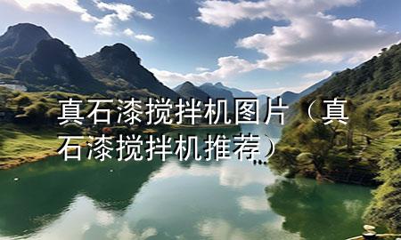 真石漆攪拌機(jī)圖片（真石漆攪拌機(jī)推薦）