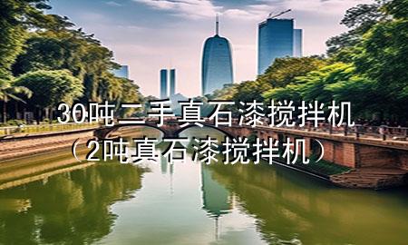30噸二手真石漆攪拌機(jī)（2噸真石漆攪拌機(jī)）